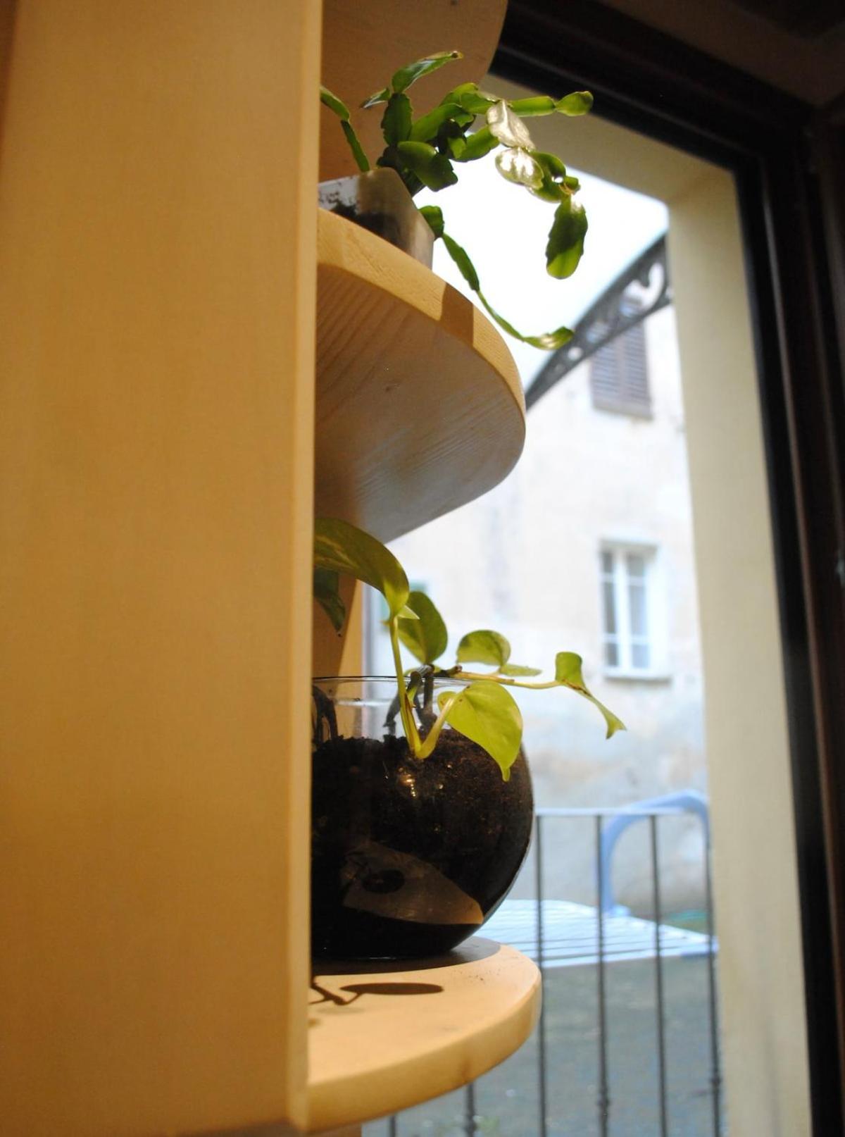 Sun Flowers House Pitigliano Luaran gambar